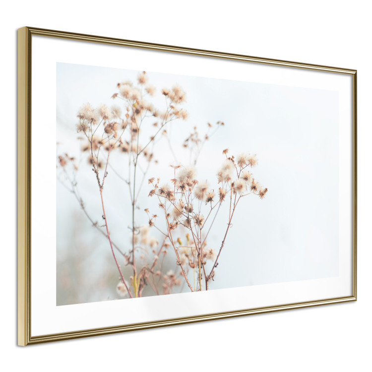 Poster Cloudy Morning - plant landscape against a blurred background of bright sky 129833 additionalImage 8
