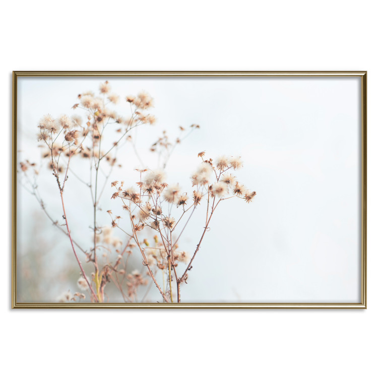 Poster Cloudy Morning - plant landscape against a blurred background of bright sky 129833 additionalImage 21