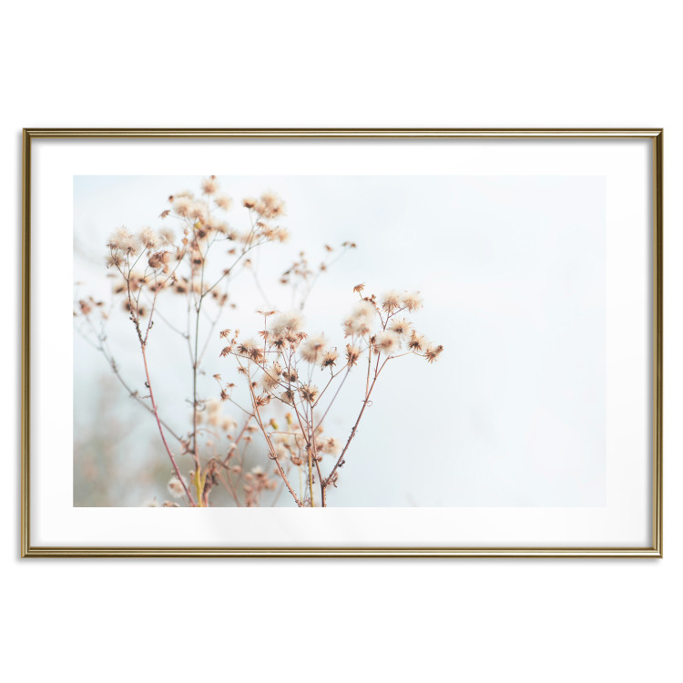 Poster Cloudy Morning - plant landscape against a blurred background of bright sky 129833 additionalImage 14
