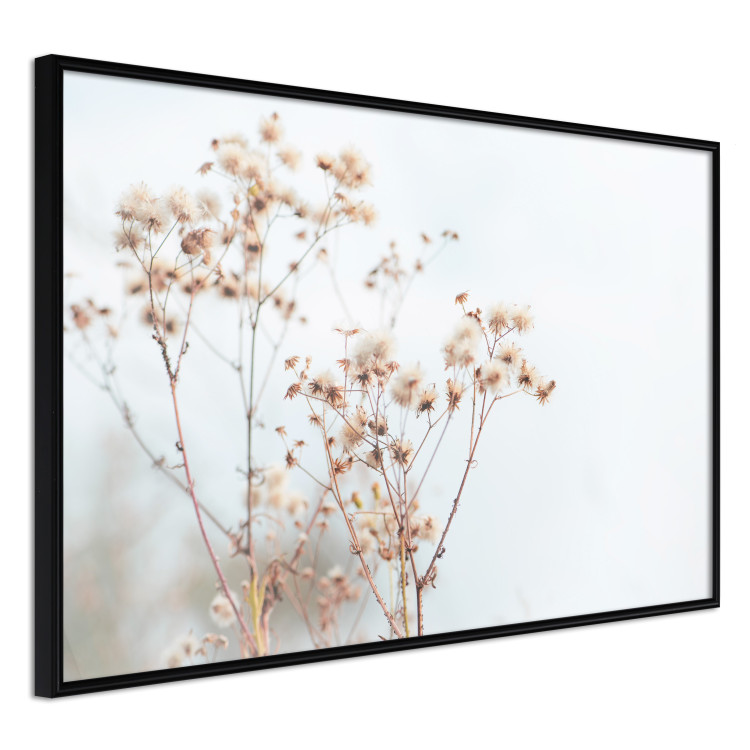 Poster Cloudy Morning - plant landscape against a blurred background of bright sky 129833 additionalImage 13