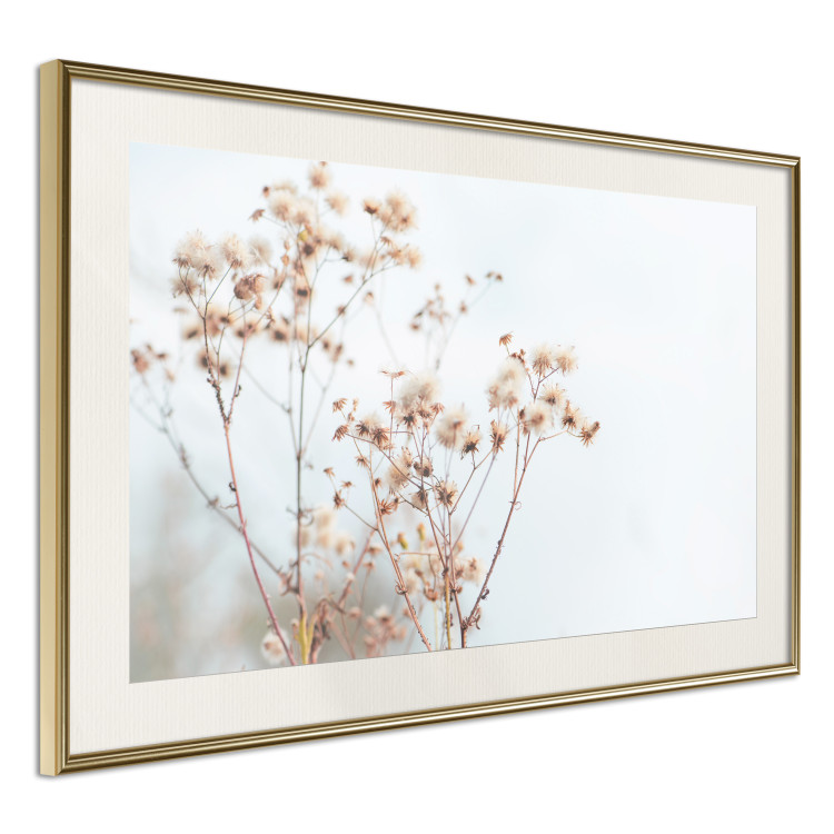Poster Cloudy Morning - plant landscape against a blurred background of bright sky 129833 additionalImage 2