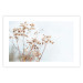 Poster Cloudy Morning - plant landscape against a blurred background of bright sky 129833 additionalThumb 25