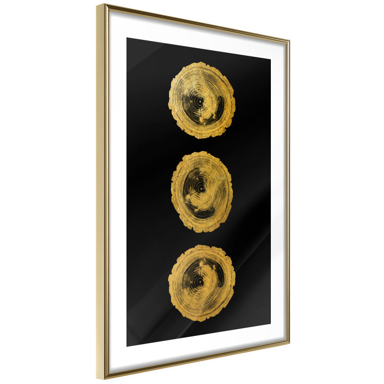 Poster Golden Branches - abstract golden trees on a black solid background 131833 additionalImage 7