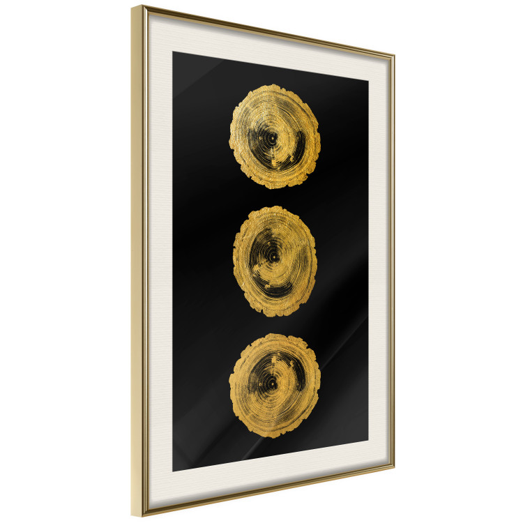 Poster Golden Branches - abstract golden trees on a black solid background 131833 additionalImage 3