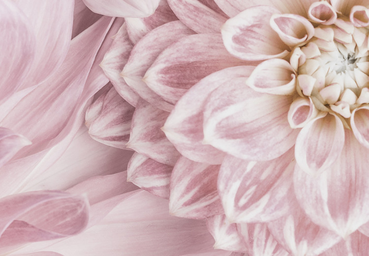 Canvas Art Print Flower headdress - a bouquet of fresh, pink plants 135533 additionalImage 5