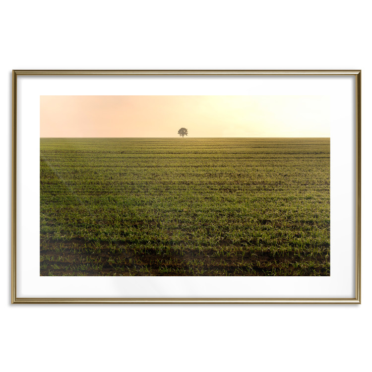 Wall Poster Autumn Morning - landscape scenery of a field against the setting sun 141233 additionalImage 14