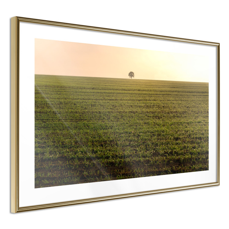 Wall Poster Autumn Morning - landscape scenery of a field against the setting sun 141233 additionalImage 6