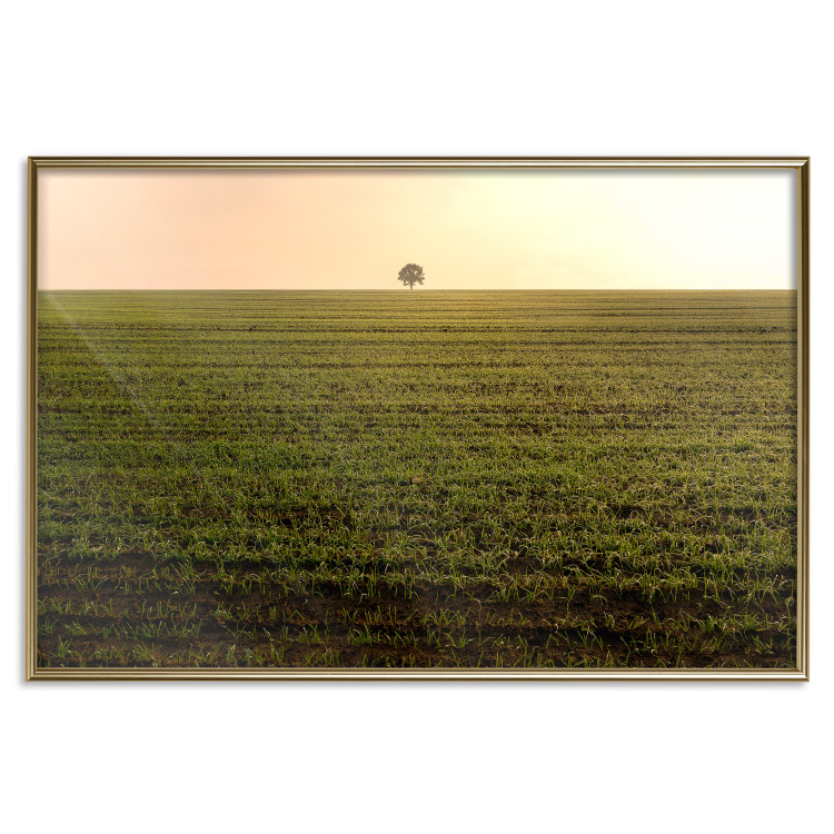 Wall Poster Autumn Morning - landscape scenery of a field against the setting sun 141233 additionalImage 16