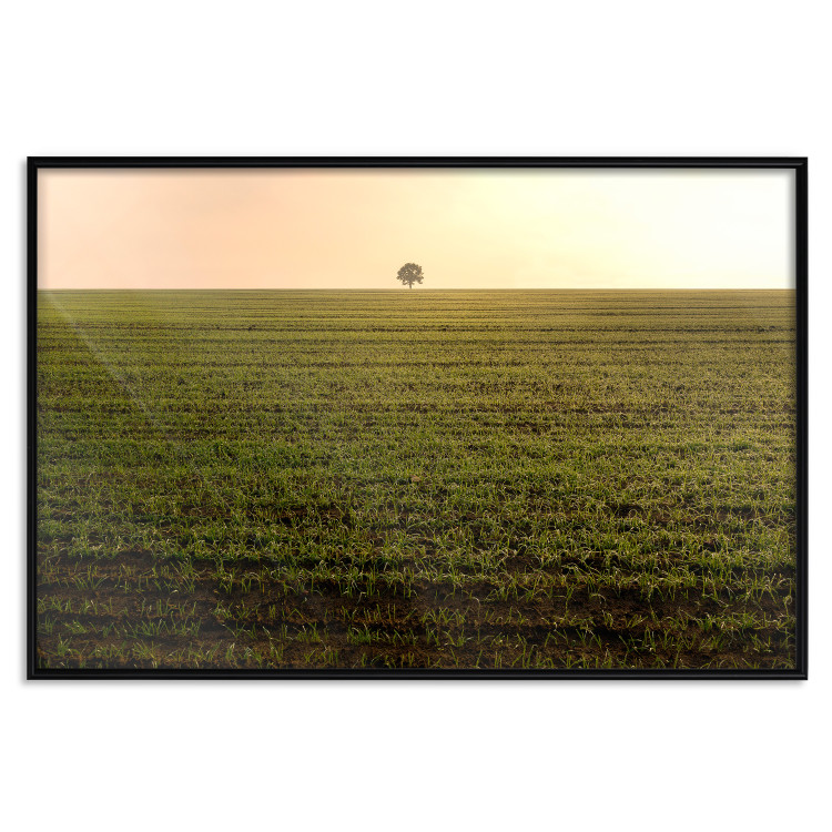 Wall Poster Autumn Morning - landscape scenery of a field against the setting sun 141233 additionalImage 18