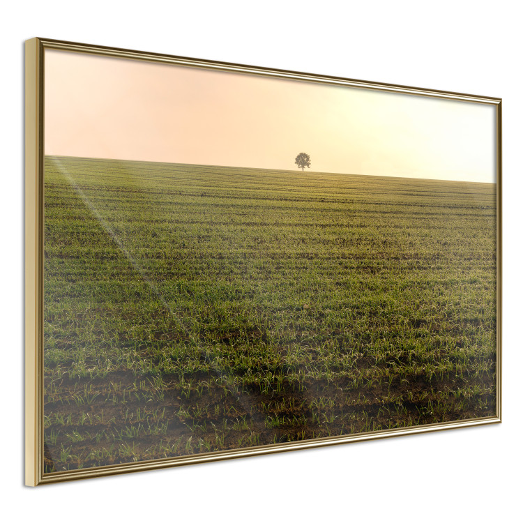 Wall Poster Autumn Morning - landscape scenery of a field against the setting sun 141233 additionalImage 12