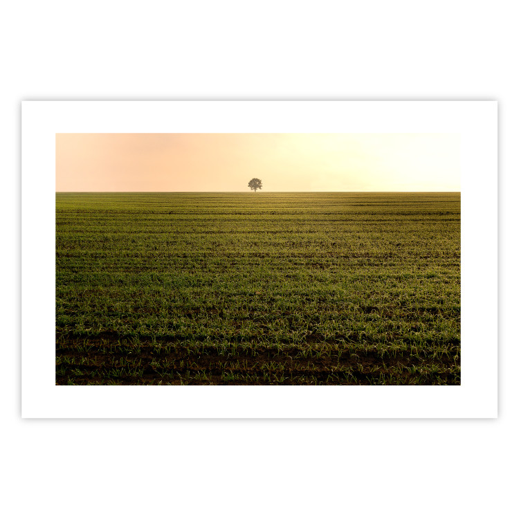 Wall Poster Autumn Morning - landscape scenery of a field against the setting sun 141233 additionalImage 19