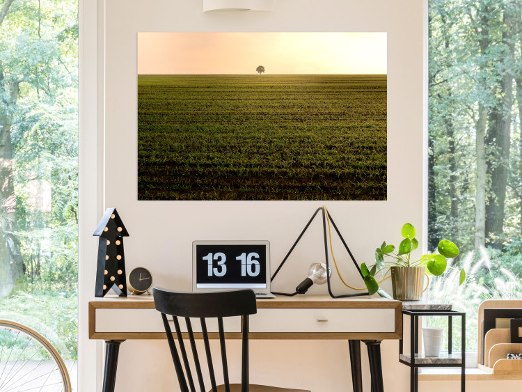 Wall Poster Autumn Morning - landscape scenery of a field against the setting sun 141233 additionalImage 17