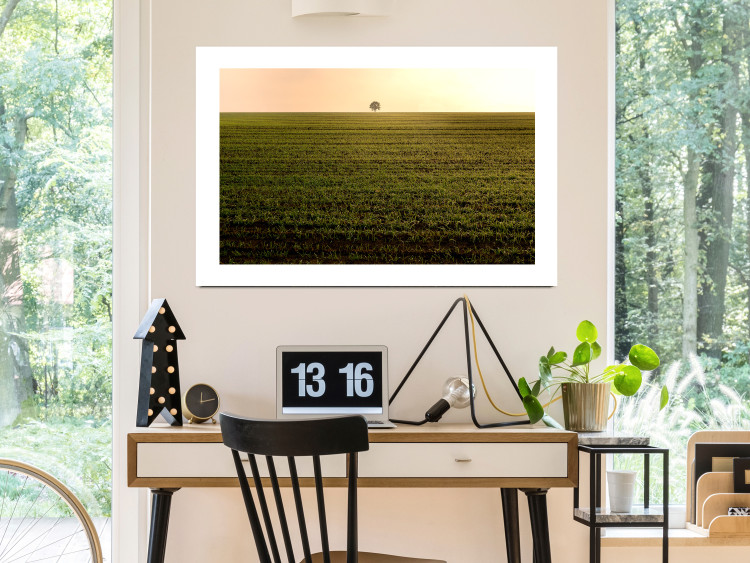 Wall Poster Autumn Morning - landscape scenery of a field against the setting sun 141233 additionalImage 2