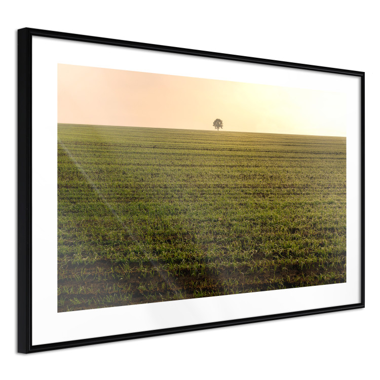 Wall Poster Autumn Morning - landscape scenery of a field against the setting sun 141233 additionalImage 11
