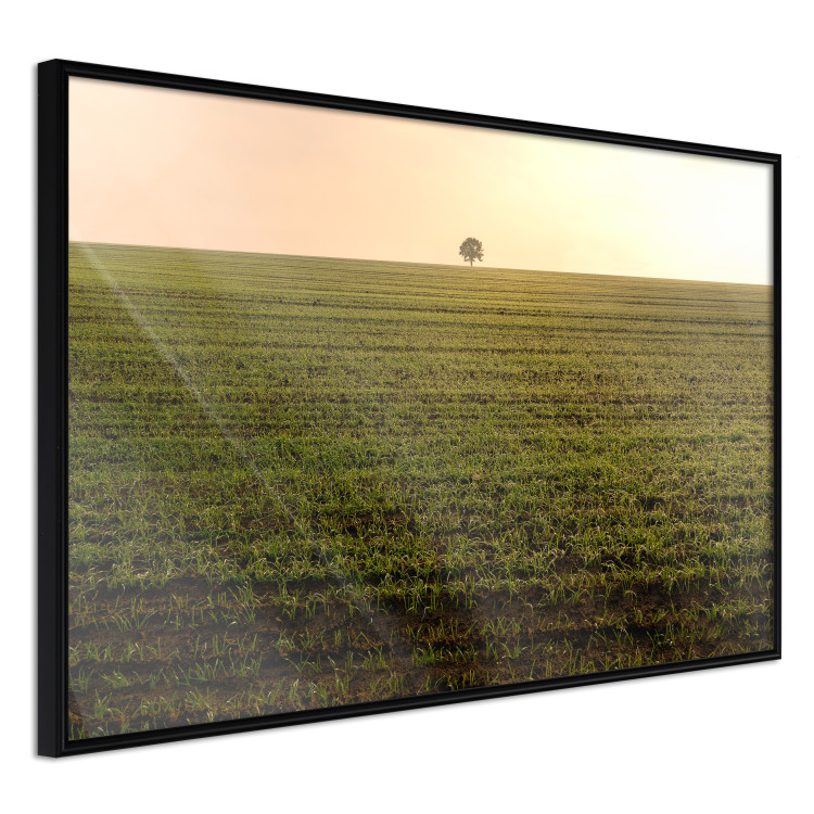 Wall Poster Autumn Morning - landscape scenery of a field against the setting sun 141233 additionalImage 10