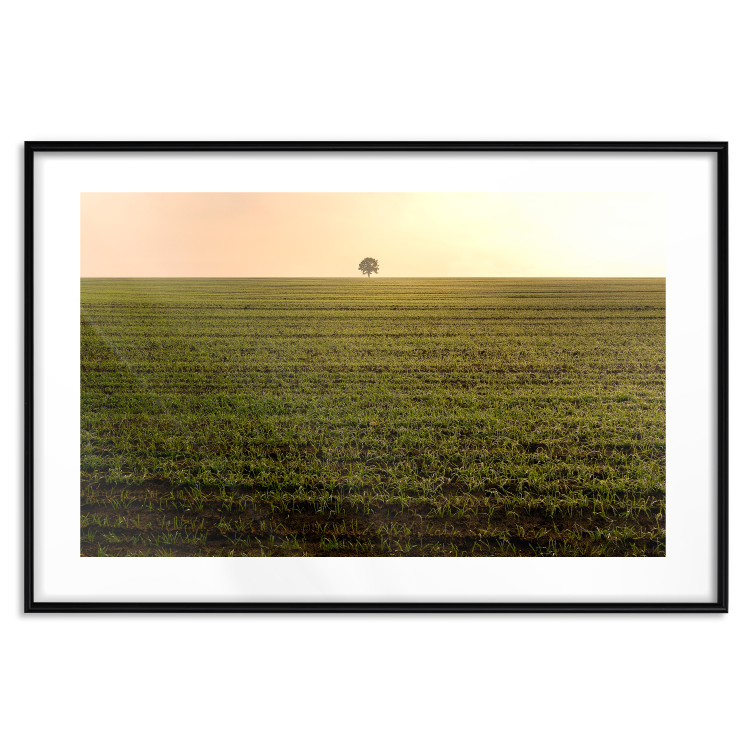 Wall Poster Autumn Morning - landscape scenery of a field against the setting sun 141233 additionalImage 15