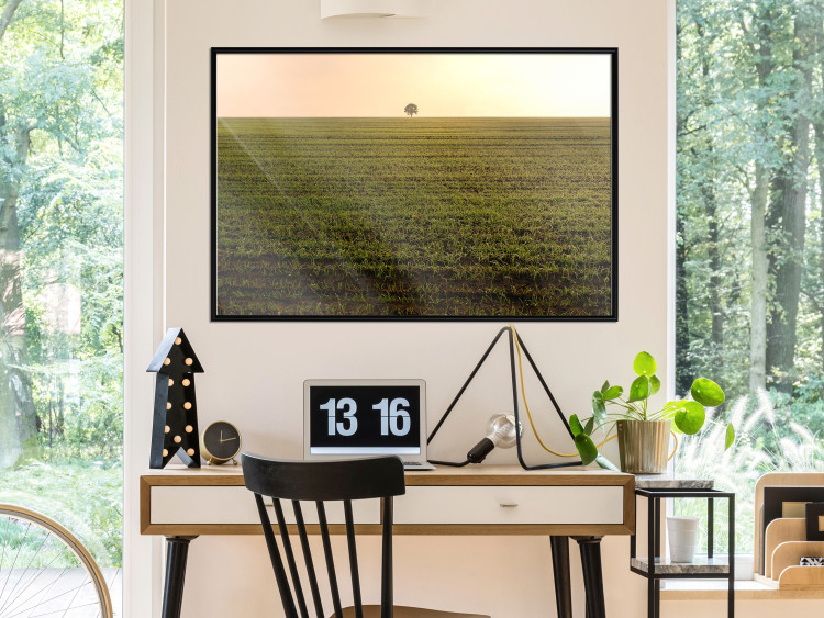 Wall Poster Autumn Morning - landscape scenery of a field against the setting sun 141233 additionalImage 3
