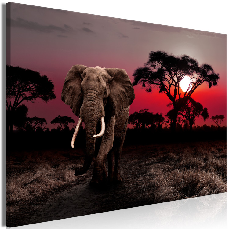 Canvas Art Print African Journey (1-piece) wide - third variant - elephant 145133 additionalImage 2