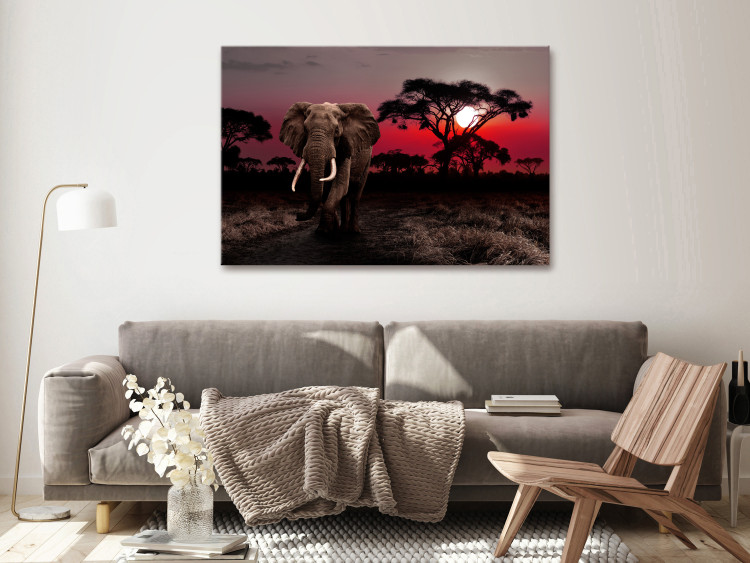Canvas Art Print African Journey (1-piece) wide - third variant - elephant 145133 additionalImage 3