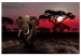 Canvas Art Print African Journey (1-piece) wide - third variant - elephant 145133