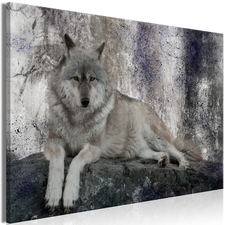 Canvas Art Print Resting Wolf (1-piece) - wild animal lying on a rock 145333 additionalImage 2