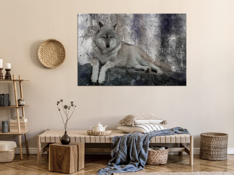 Canvas Art Print Resting Wolf (1-piece) - wild animal lying on a rock 145333 additionalImage 3