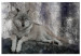 Canvas Art Print Resting Wolf (1-piece) - wild animal lying on a rock 145333