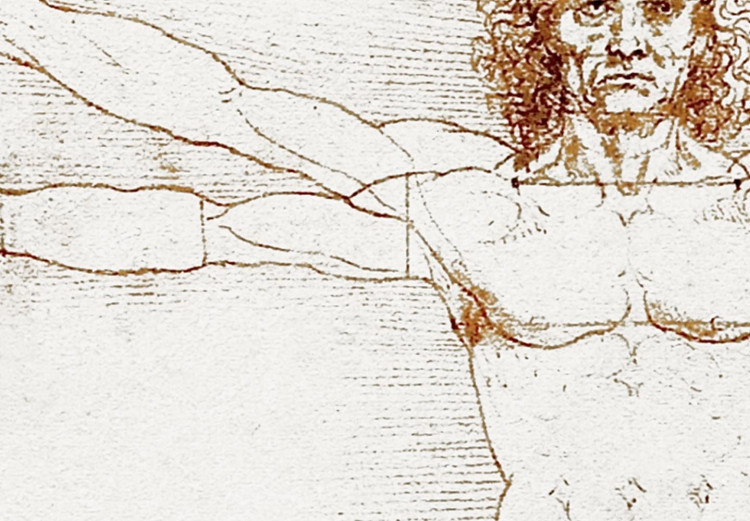 Round Canvas Vitruvian Man by Leonardo Da Vinci - A Drawing of the Proportions of a Man’s Body 148733 additionalImage 3