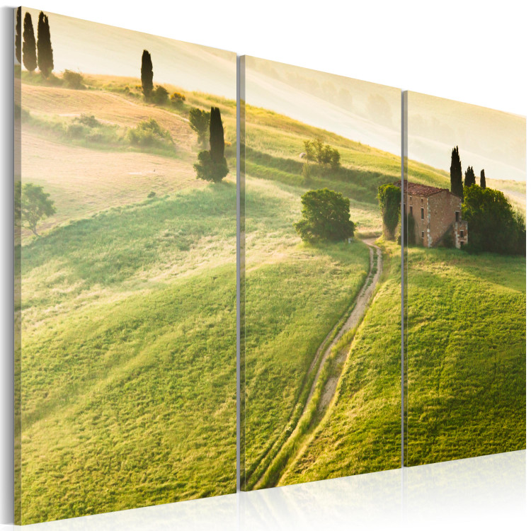 Canvas Print Under the Tuscan Sun 58633 additionalImage 2