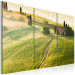 Canvas Print Under the Tuscan Sun 58633 additionalThumb 2