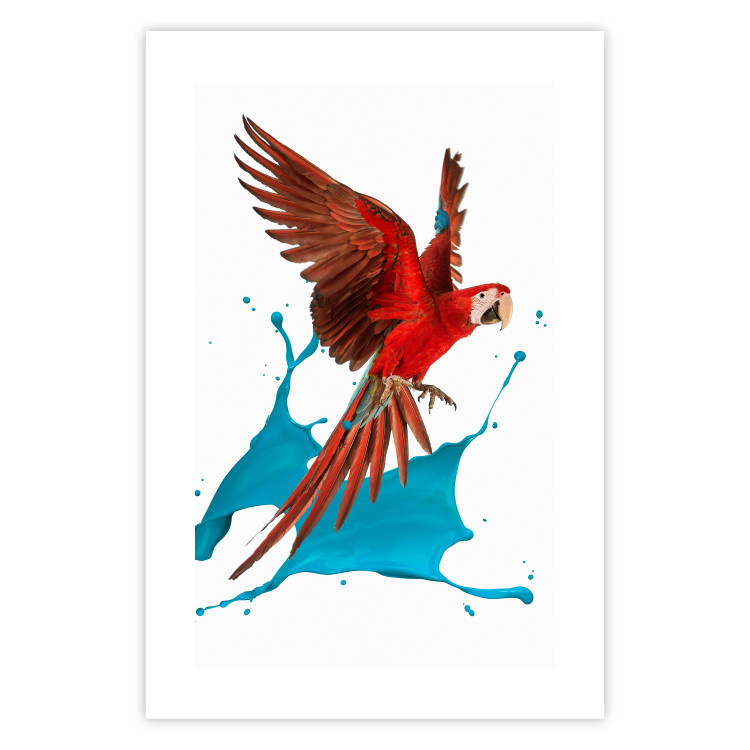 Poster Parrot in Flight - colorful tropical bird and blue paint splatter 114443 additionalImage 12