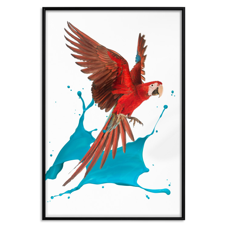 Poster Parrot in Flight - colorful tropical bird and blue paint splatter 114443 additionalImage 13
