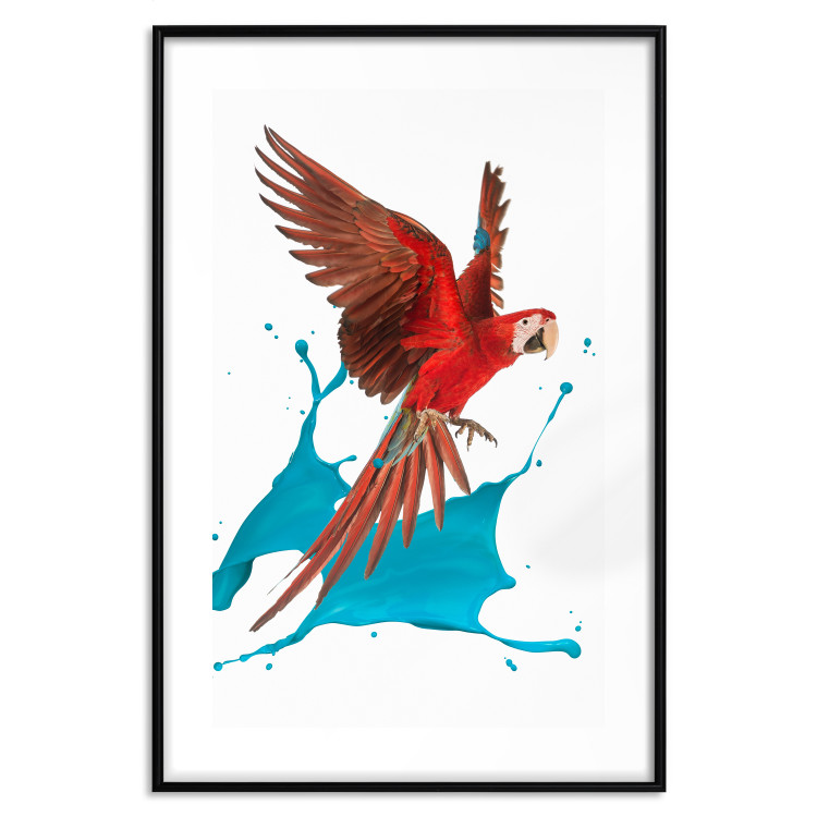 Poster Parrot in Flight - colorful tropical bird and blue paint splatter 114443 additionalImage 14
