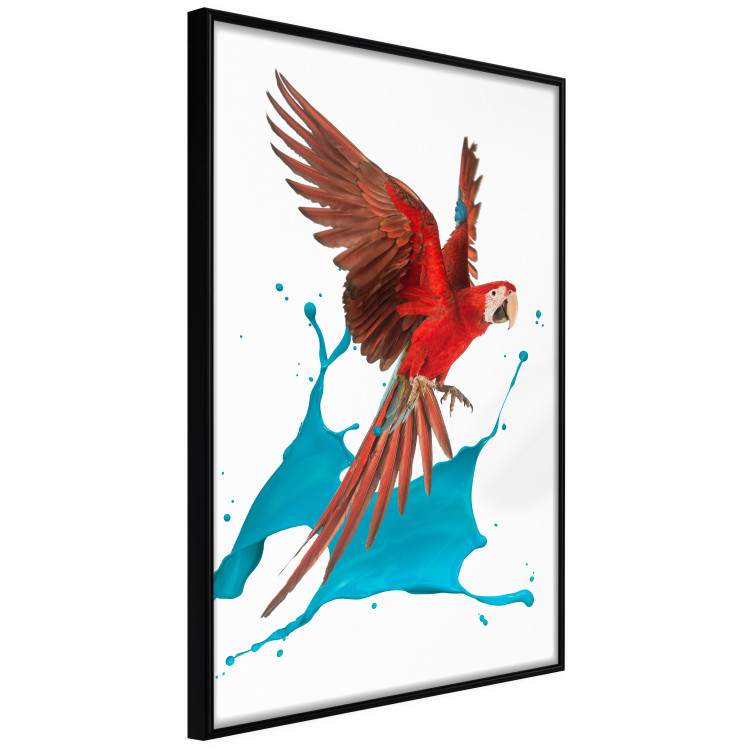 Poster Parrot in Flight - colorful tropical bird and blue paint splatter 114443 additionalImage 10