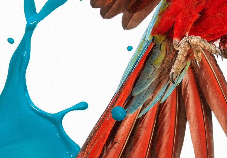 Poster Parrot in Flight - colorful tropical bird and blue paint splatter 114443 additionalImage 6