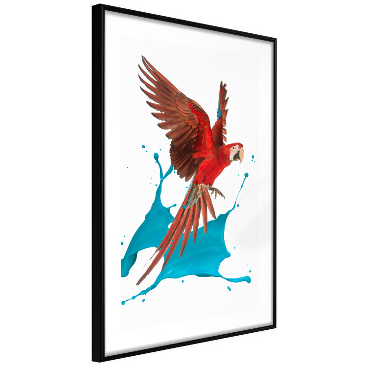 Poster Parrot in Flight - colorful tropical bird and blue paint splatter 114443 additionalImage 4