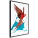 Poster Parrot in Flight - colorful tropical bird and blue paint splatter 114443 additionalThumb 10