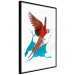 Poster Parrot in Flight - colorful tropical bird and blue paint splatter 114443 additionalThumb 4