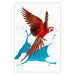 Poster Parrot in Flight - colorful tropical bird and blue paint splatter 114443