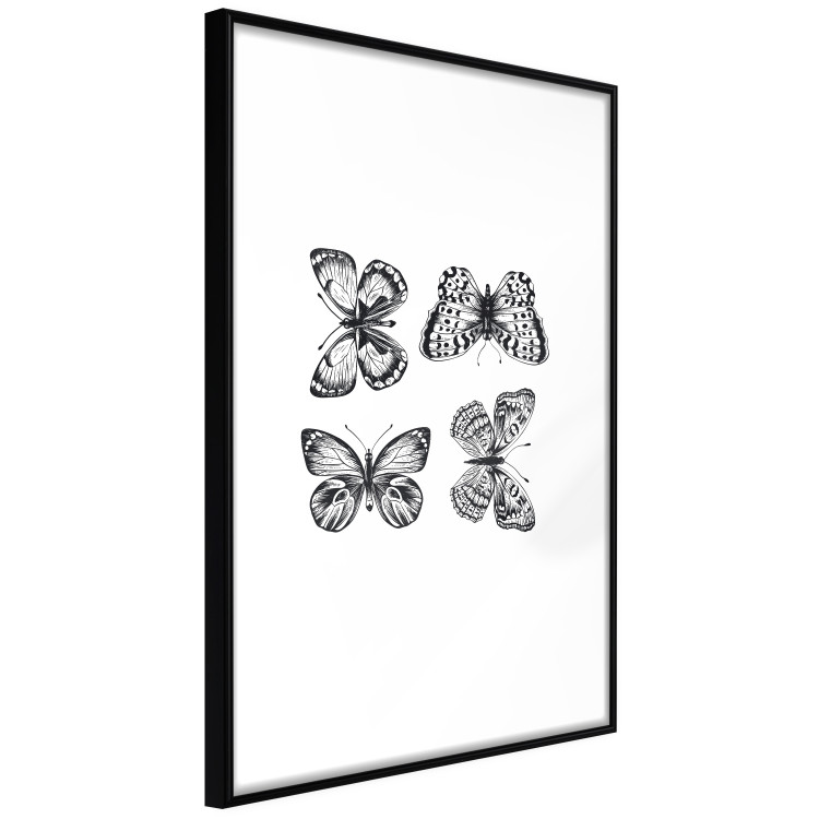 Poster Four Butterflies - simple black and white composition with scaled-winged insects 116943 additionalImage 13