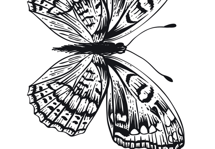 Poster Four Butterflies - simple black and white composition with scaled-winged insects 116943 additionalImage 11