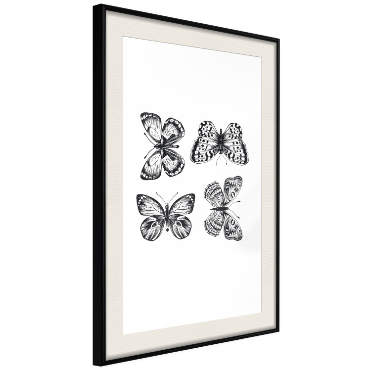 Poster Four Butterflies - simple black and white composition with scaled-winged insects 116943 additionalImage 3