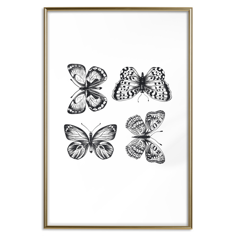 Poster Four Butterflies - simple black and white composition with scaled-winged insects 116943 additionalImage 20
