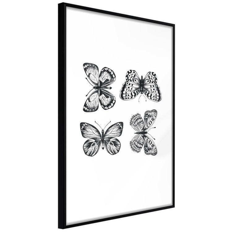 Poster Four Butterflies - simple black and white composition with scaled-winged insects 116943 additionalImage 12