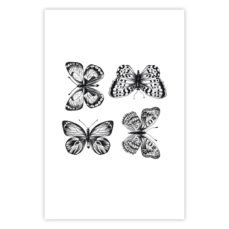Poster Four Butterflies - simple black and white composition with scaled-winged insects 116943