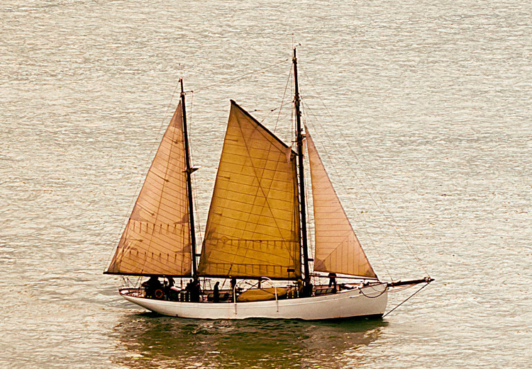 Poster Sailboat - brown sails against a beige-green seascape 117343 additionalImage 9