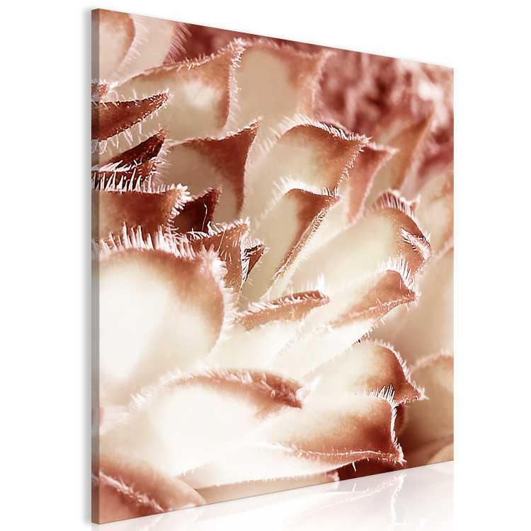 Canvas Art Print Flower tenderness - an artistic photo of a floral detail in pastels 122643 additionalImage 2