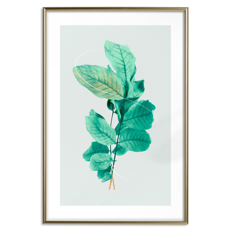 Poster Mint Grace - plant composition with mint leaves on a light background 126543 additionalImage 14