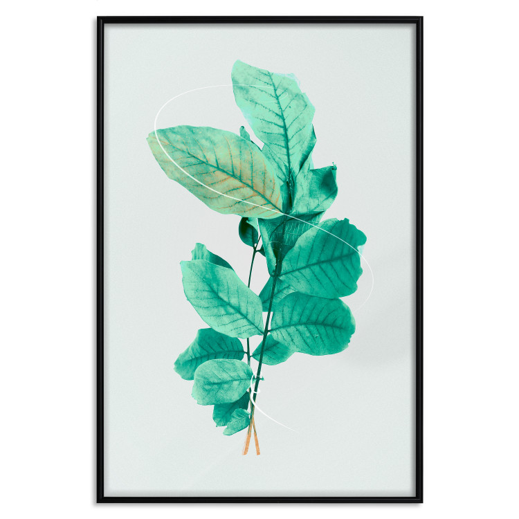 Poster Mint Grace - plant composition with mint leaves on a light background 126543 additionalImage 16