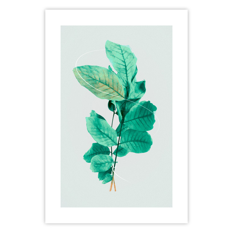 Poster Mint Grace - plant composition with mint leaves on a light background 126543 additionalImage 19